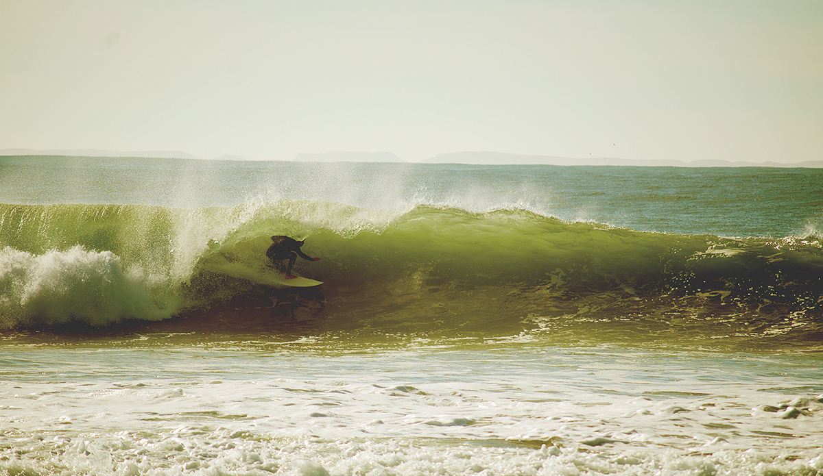 Photo: <a href=\"https://brianadiamond.smugmug.com/\">Briana Diamond</a>