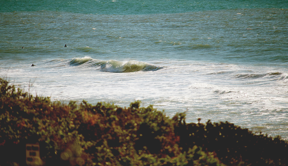 Photo: <a href=\"https://brianadiamond.smugmug.com/\">Briana Diamond</a>