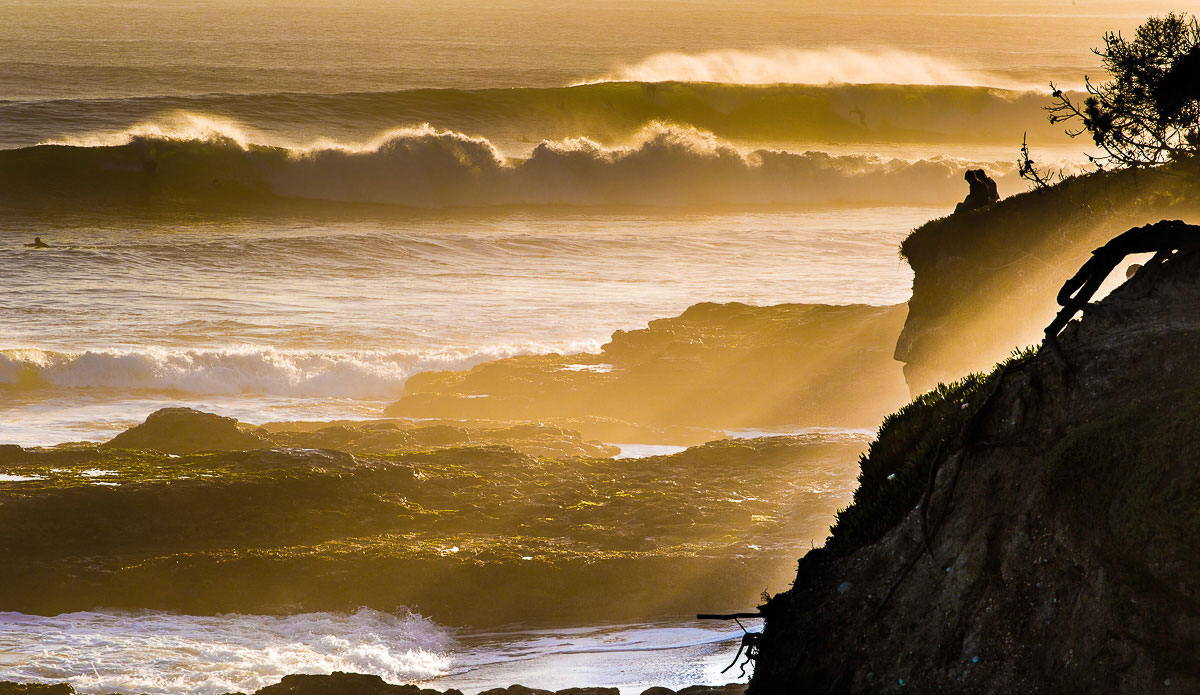 Photo: <a href=\"https://www.julien-bacal.com/\">Julien Bacal</a>