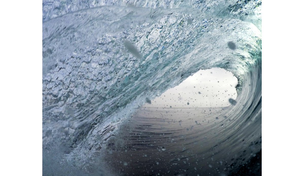 Photo: Michael Townsend  