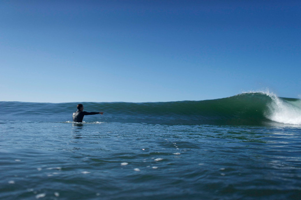 Photo: Michael Townsend  