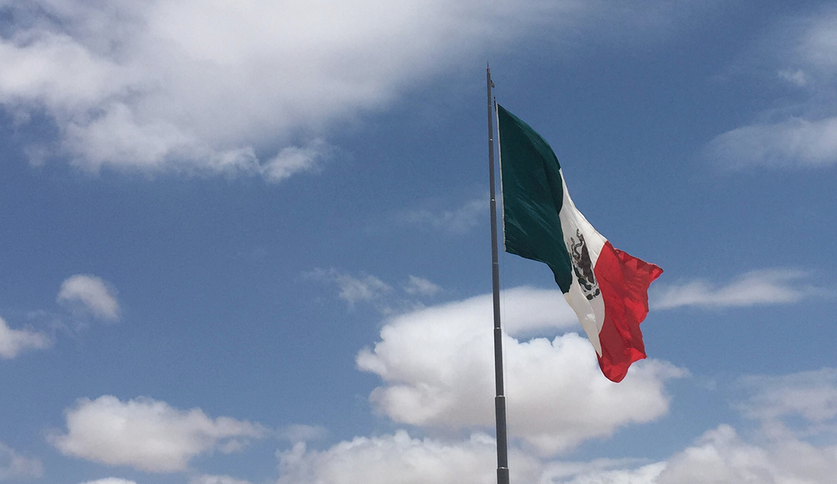 Photo: Michael Townsend  