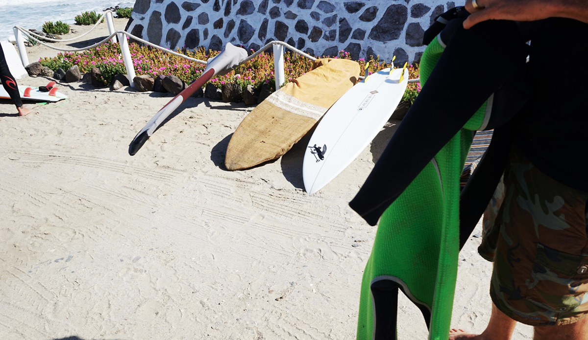 Photo: Michael Townsend  