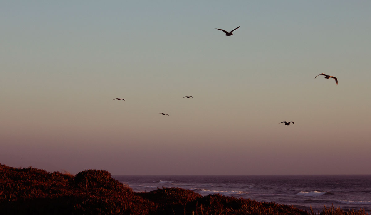 Photo: <a href=\"https://pedrobalaphotography.com/\"> Pedro Bala</a>