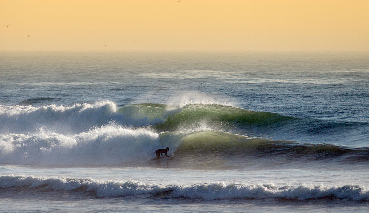 Photo: <a href=\"https://pedrobalaphotography.com/\"> Pedro Bala</a>