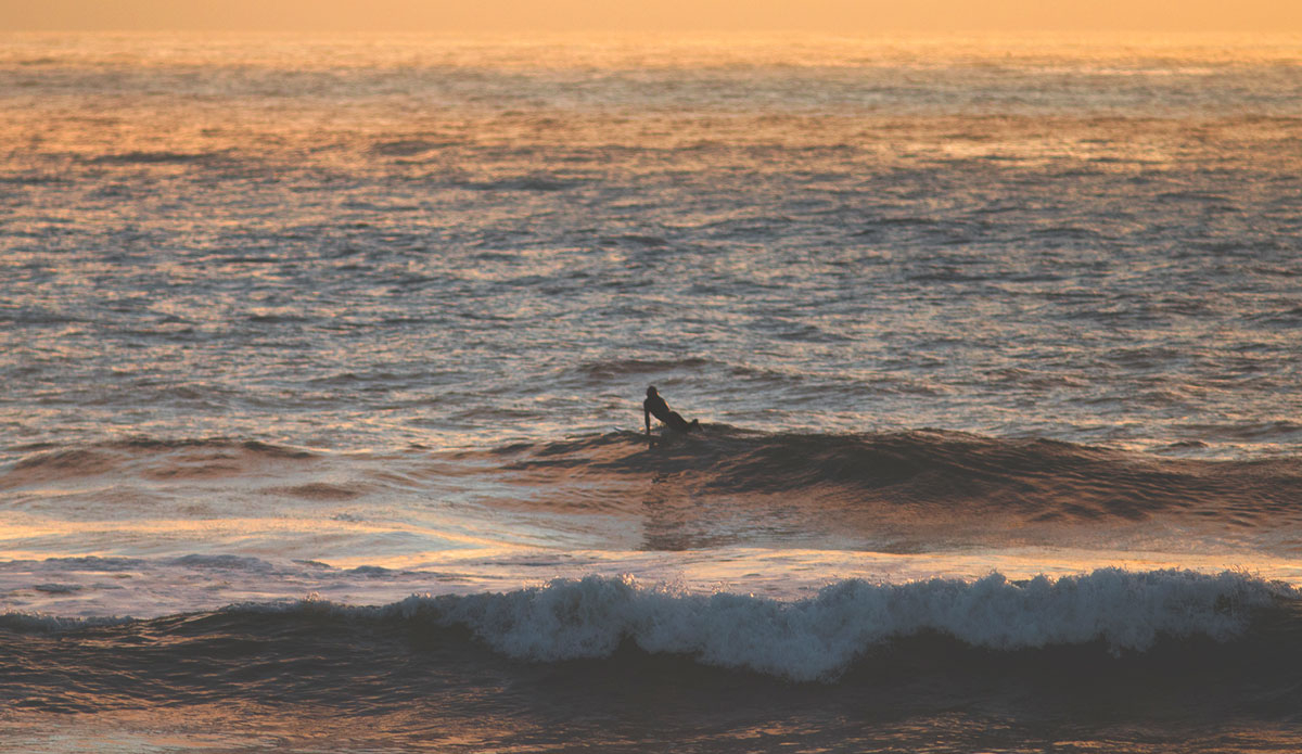 Photo: <a href=\"https://pedrobalaphotography.com/\"> Pedro Bala</a>