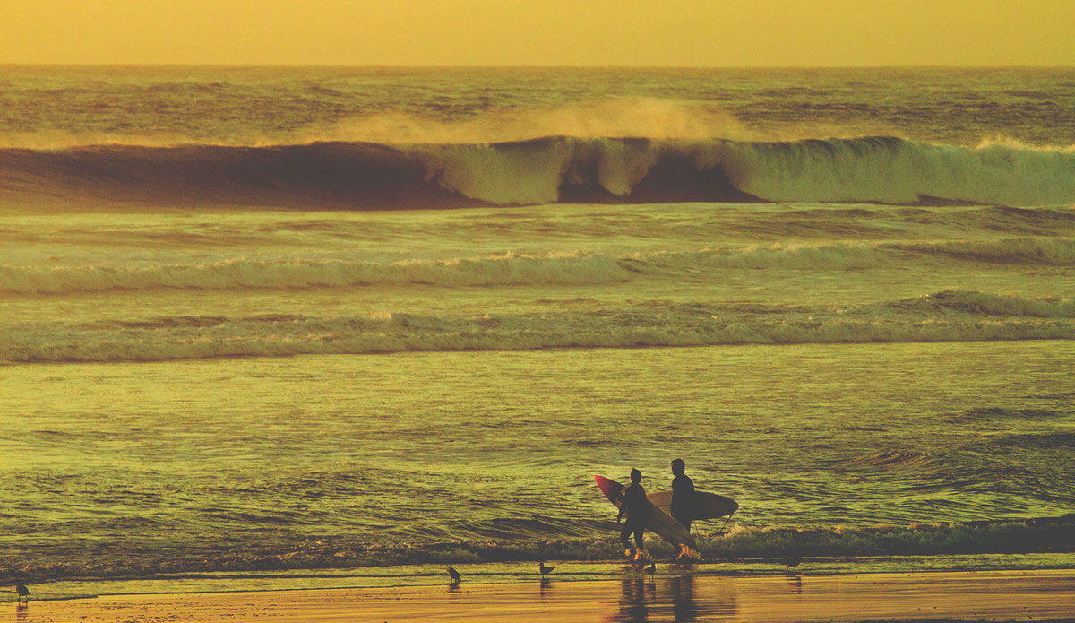 Photo: <a href=\"https://pedrobalaphotography.com/\"> Pedro Bala</a>