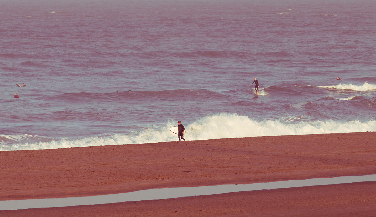 Photo: <a href=\"https://pedrobalaphotography.com/\"> Pedro Bala</a>