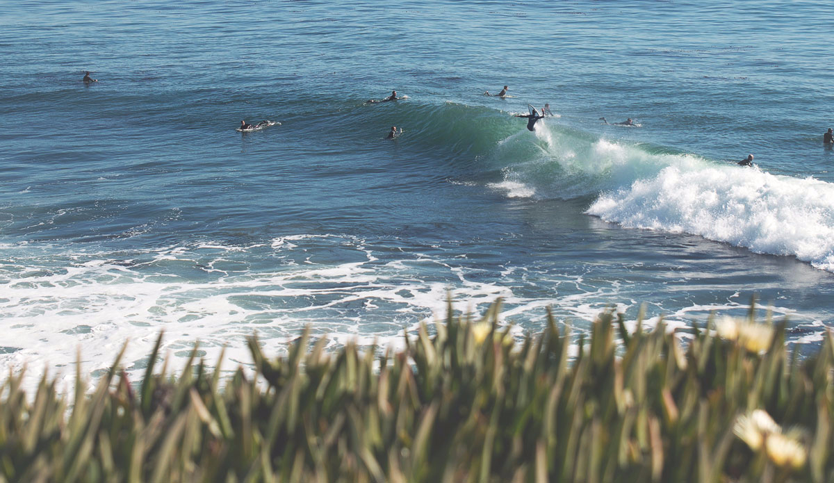 Photo: <a href=\"https://pedrobalaphotography.com/\">Pedro Bala</a>