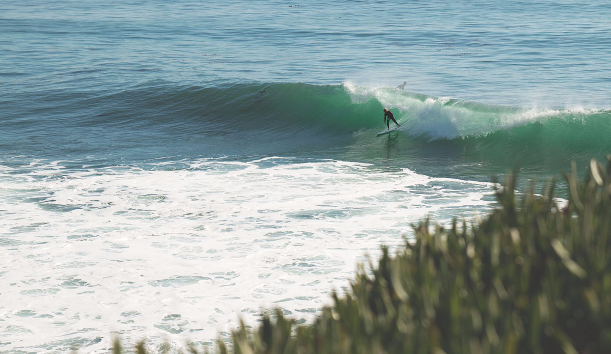 Photo: <a href=\"https://pedrobalaphotography.com/\">Pedro Bala</a>