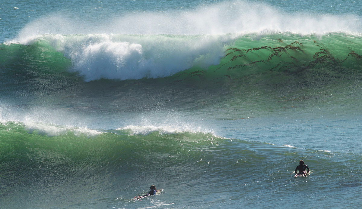 Photo: <a href=\"https://pedrobalaphotography.com/\">Pedro Bala</a>