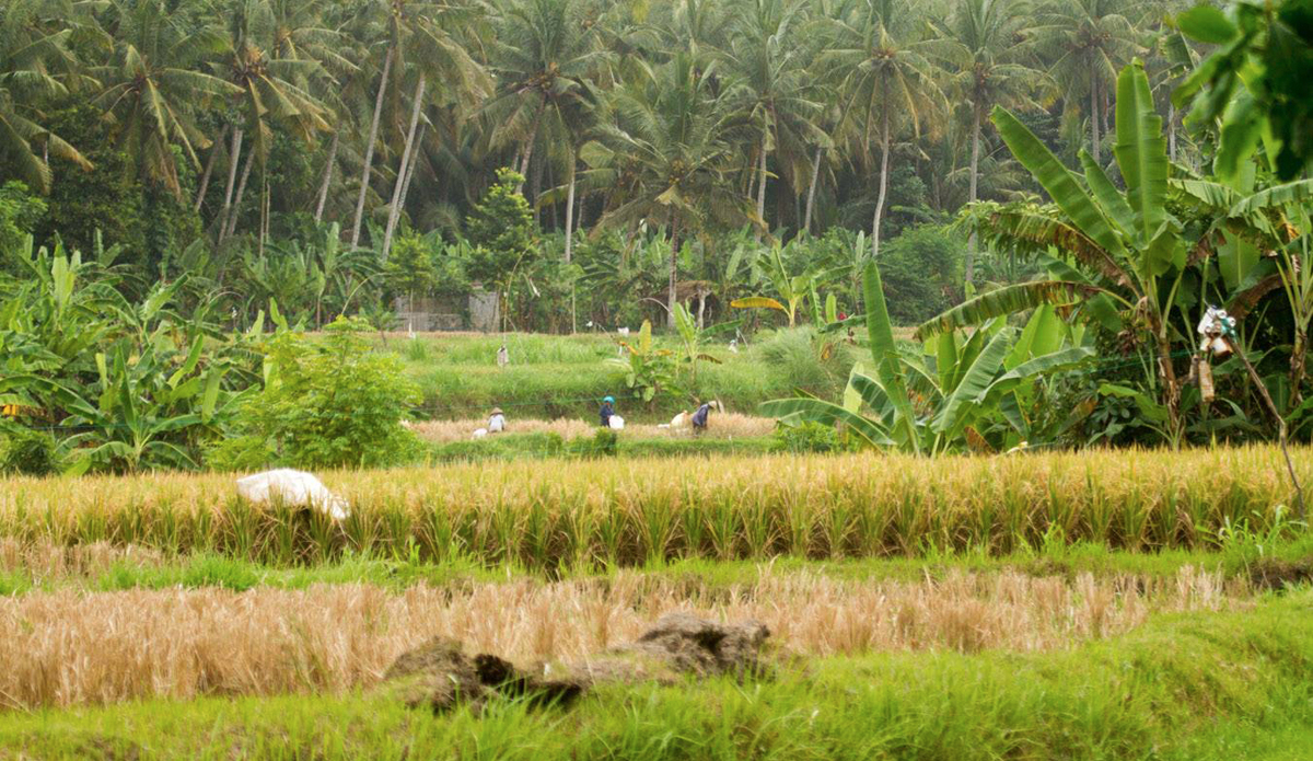 Photo: <a href=\"https://instagram.com/terryhoustonsurfpics\">Terry Houston</a>