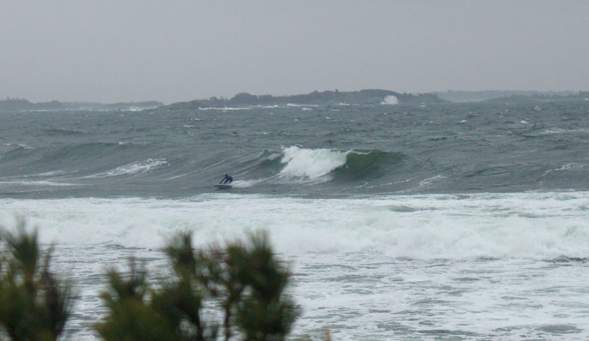 Photo: <a href=\"https://www.hakannyberg.com/\">Håkan Nyberg</a>