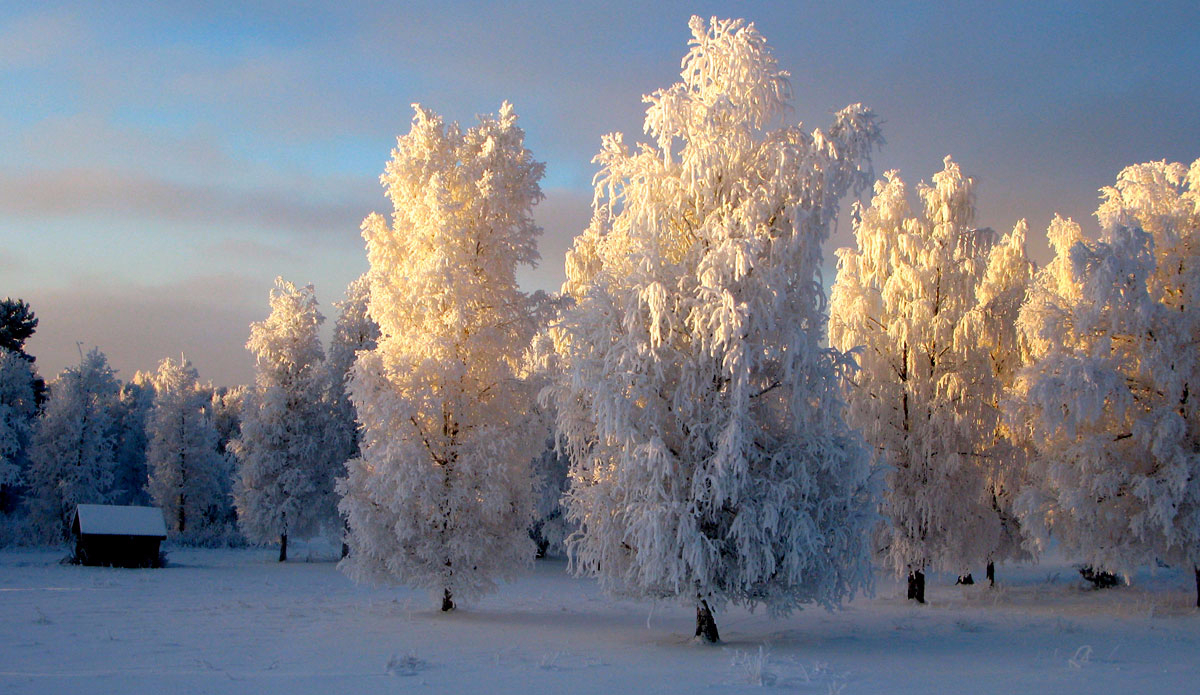 The view inland ain\'t too bad. Photo: <a href=\"https://www.hakannyberg.com/\">Håkan Nyberg</a>