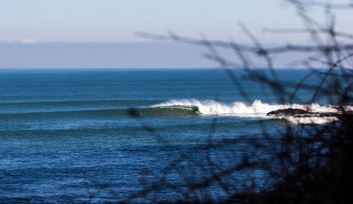 Any takers? Photo: <a href=\"https://instagram.com/thefrogeye\"> Alex Postigo</a>