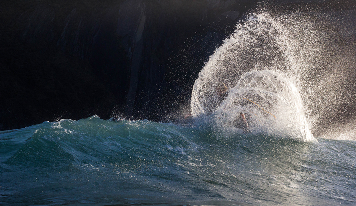 Back lit tail waft. Photo: <a href=\"https://instagram.com/thefrogeye\"> Alex Postigo</a>