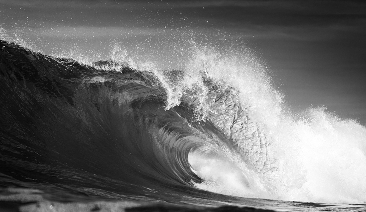 Black and white gem. Photo: <a href=\"https://instagram.com/thefrogeye\"> Alex Postigo</a>