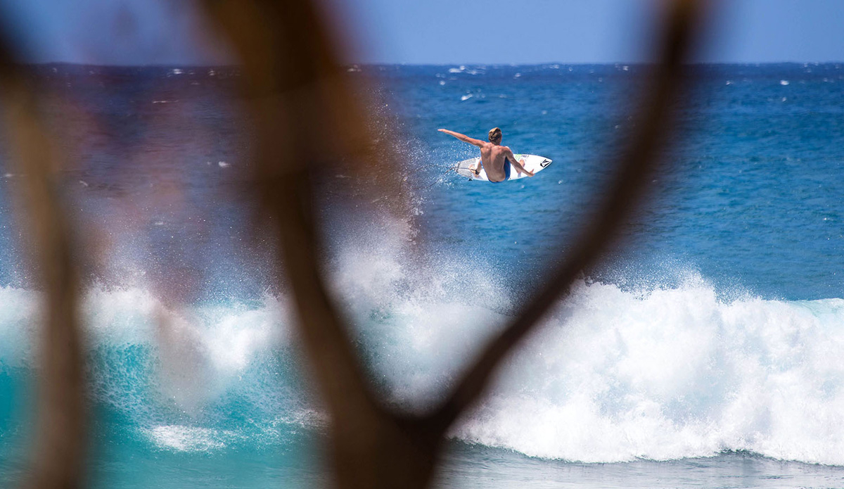 Photo: <a href=\"https://www.laserwolfphoto.com/\">BC Laserwolf</a>