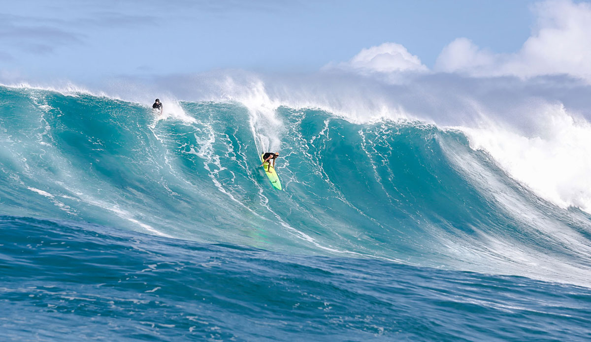 Photo: <a href=\"https://www.laserwolfphoto.com/\">BC Laserwolf</a>