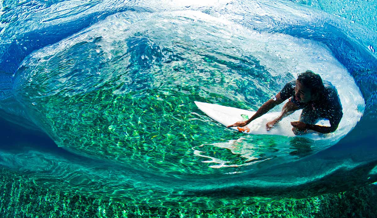 Photo: <a href=\"https://www.laserwolfphoto.com/\">BC Laserwolf</a>