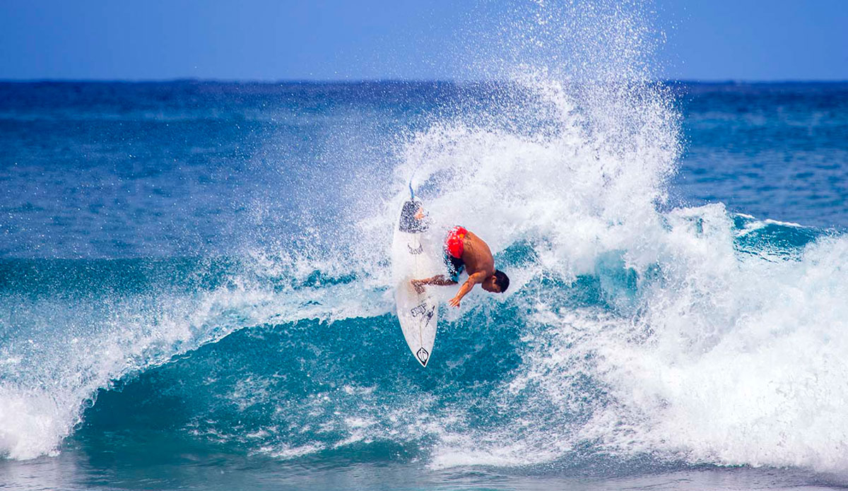 Photo: <a href=\"https://www.laserwolfphoto.com/\">BC Laserwolf</a>