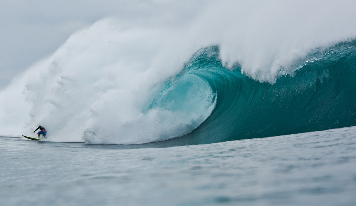 Photo: <a href=\"https://www.laserwolfphoto.com/\">BC Laserwolf</a>