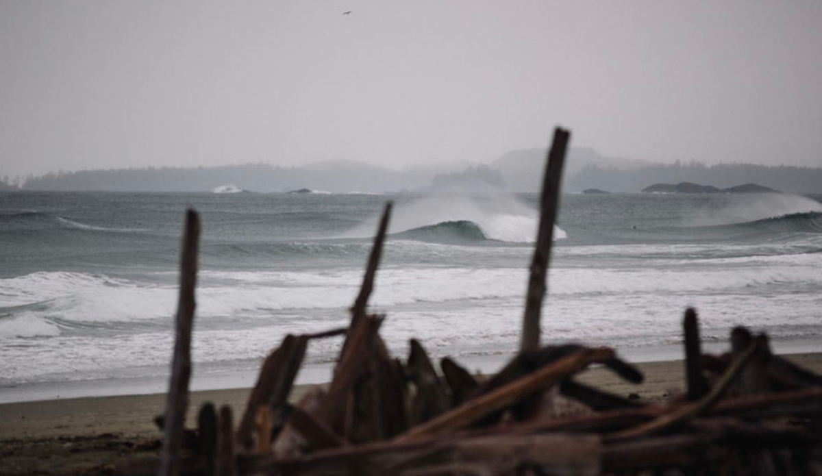 Photo: <a href=\"https://wndrs.com/\">Wonders via PolerStuff</a>