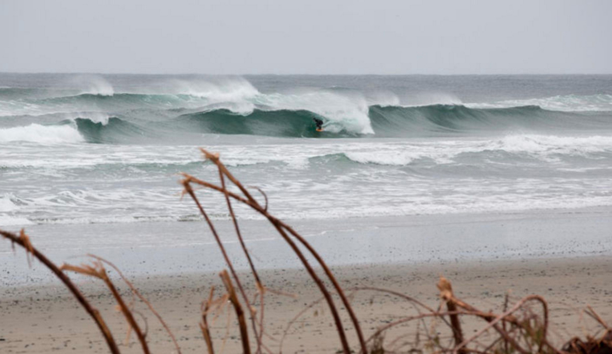 Photo: <a href=\"https://wndrs.com/\">Wonders via PolerStuff</a>