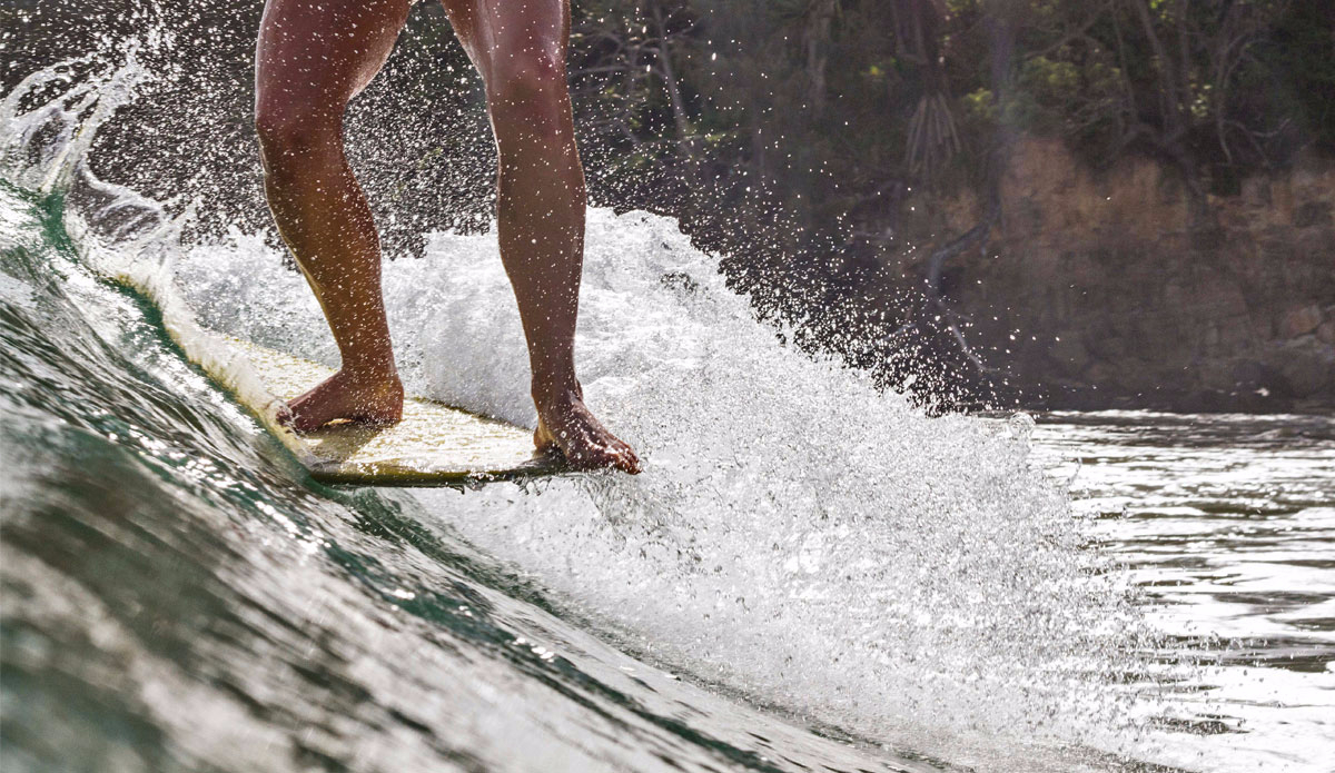 The poise of Ashleigh Browne. Photo: <a href=\"https://www.narrowpathmedia.com.au/#1\"> Andrew Carruthers</a>