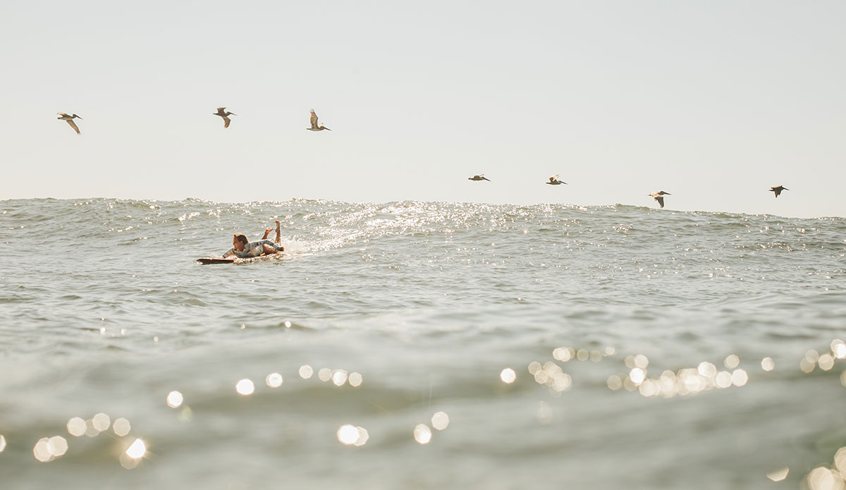 Photo: <a href=\"https://www.cristinagareau.com/\">Cristina Gareau</a>