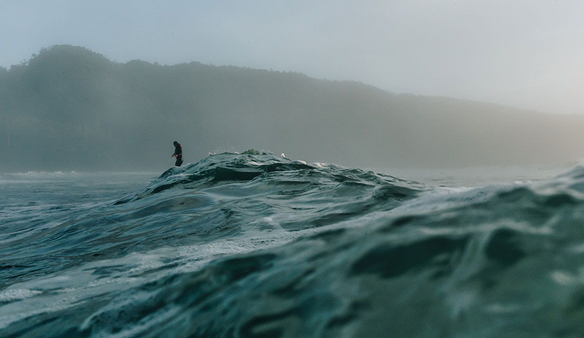 Photo: <a href=\"https://www.cristinagareau.com/\">Cristina Gareau</a>