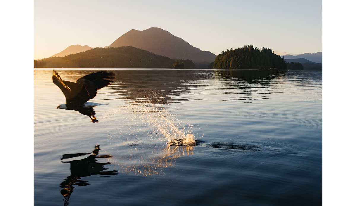 Photo: <a href=\"https://www.cristinagareau.com/\">Cristina Gareau</a>