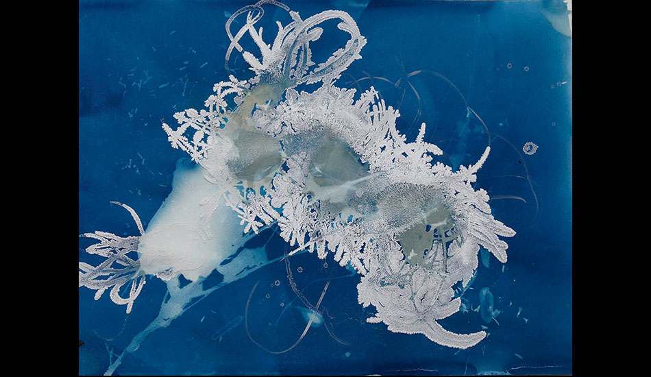 The beauty of a caterpillar cyanotype. \"Science is quite influential in art,\" says Nguyen. \"With new discoveries and technologies, I feel like it fuels inspiration for those who are interested in the sciences.\"