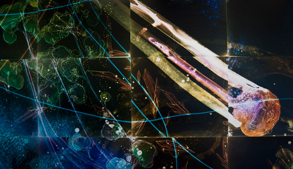 The cosmic details of a jellyfish.