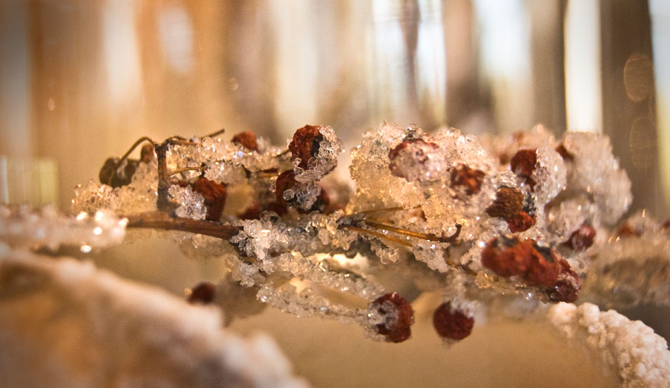 Specimens from the West Coast are collected and encapsulated in salt or Borax crystals. These are crystal berries.