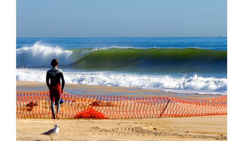 Photo: <a href=\"https://bencurriephoto.zenfolio.com/\">Ben Currie</a>