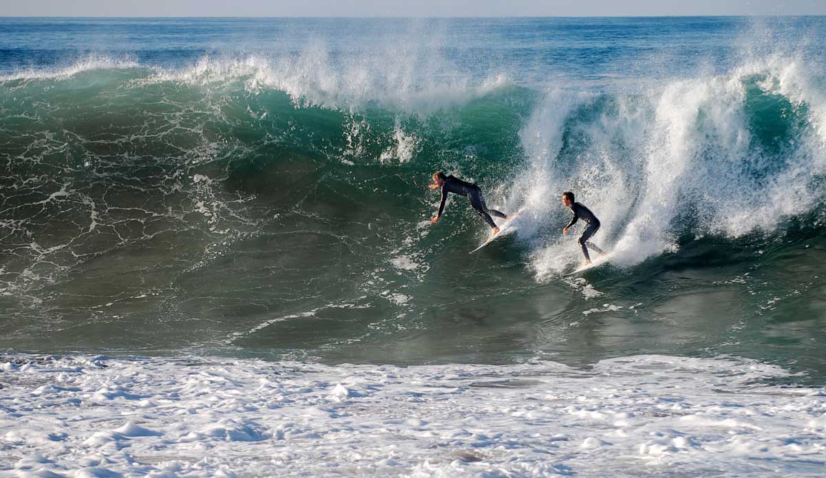 Maybe J.O.B. didn\'t see him...let\'s give him the benefit of the doubt. Photo: <a href=\"https://www.driftwoodfoto.com/\">Benjamin Ginsberg</a>