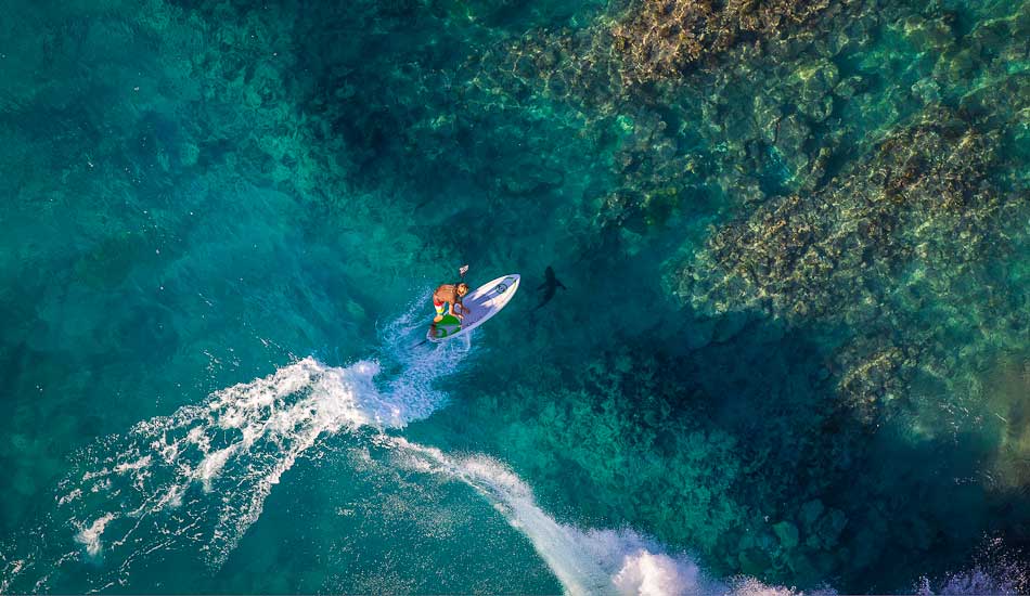 My friend Manu Bouvet flying above reef and shark. Photo: <a href=\"https://benthouard.com/\" target=_blank>Ben Thouard</a>.