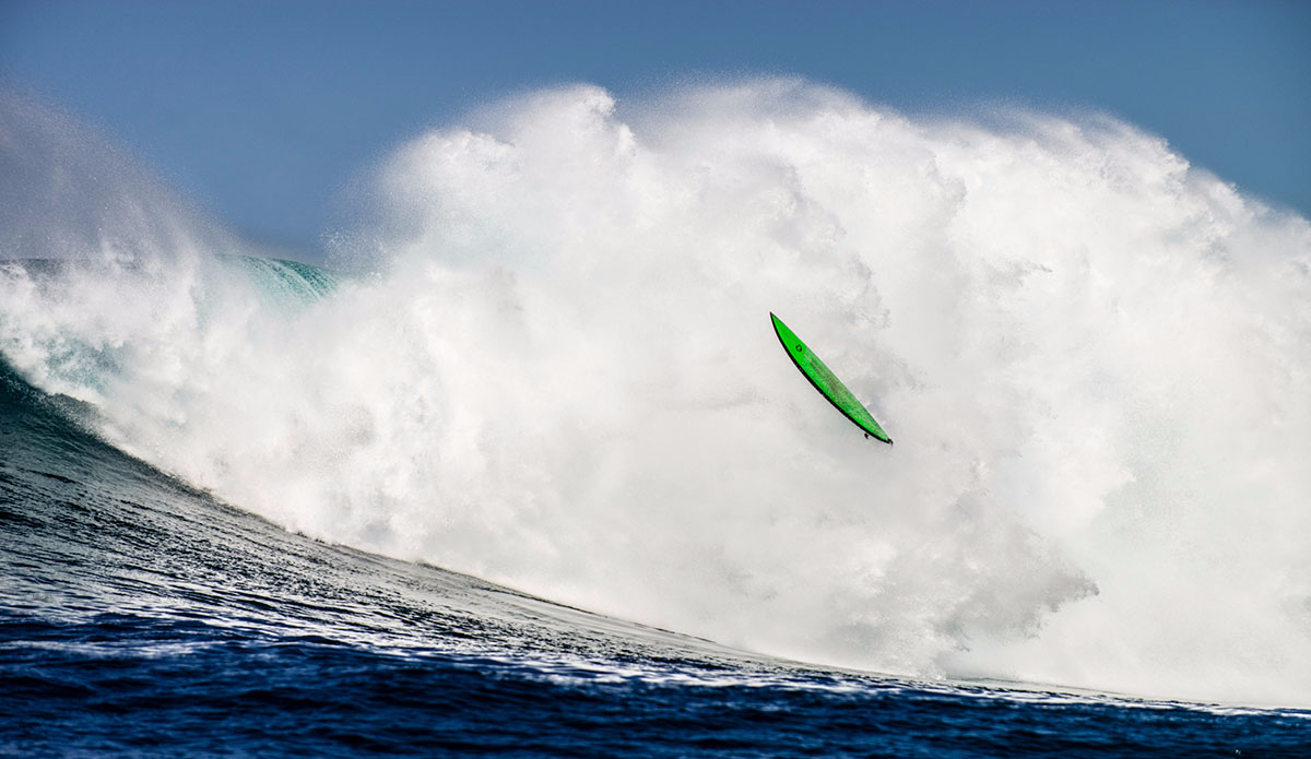 Casualties are to be expected. Photo: <a href=\"https://www.driftwoodfoto.com/\">Ben Ginsberg</a>