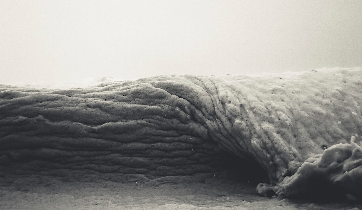 Photo: Kyle Jenkinson