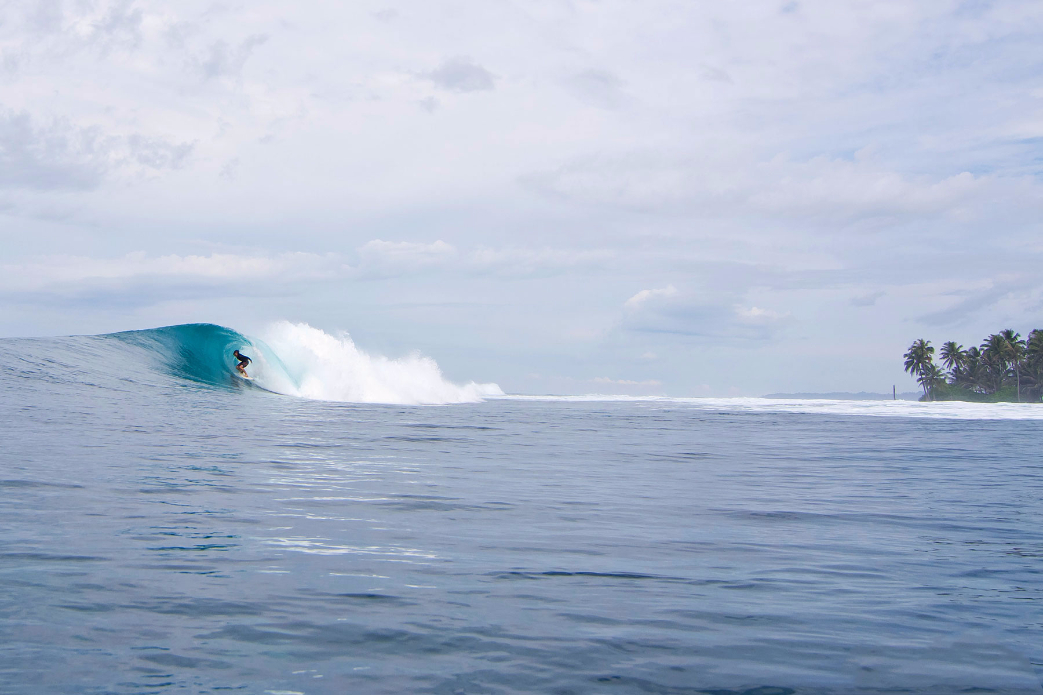 Photo: <a href=\"https://www.shootingdownthebarrel.com/\">Nico Palacios</a>