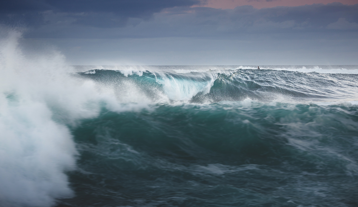 Photo: Krzysztof Jędrzejak