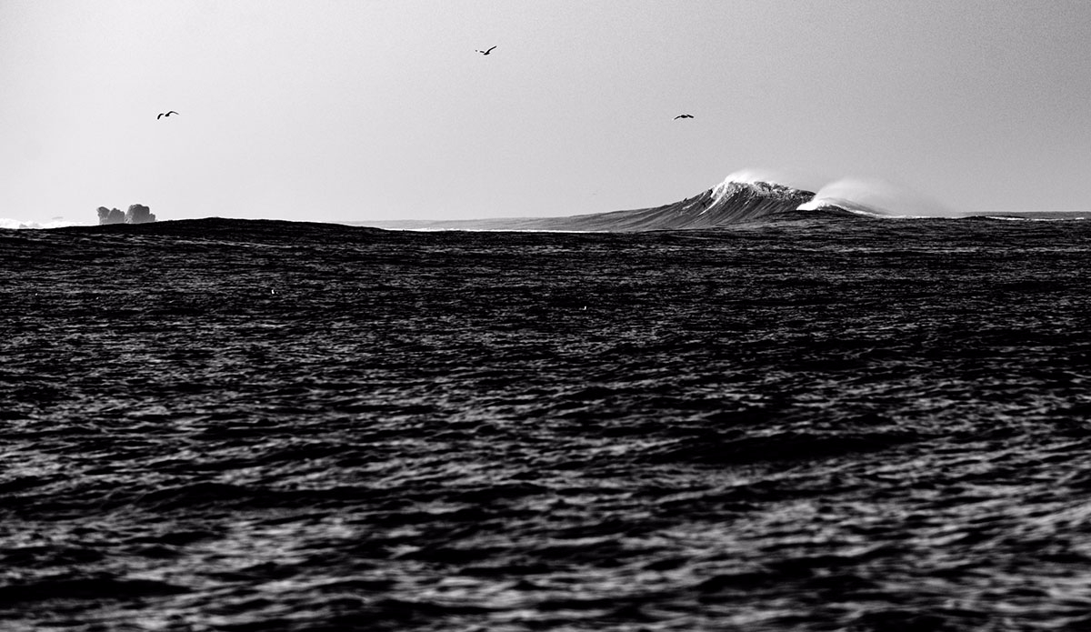 If you look closely, you\'ll find Garth Englehorn and Gary Linden. Photo: <a href=\"https://www.driftwoodfoto.com/\">Ben Ginsberg</a>