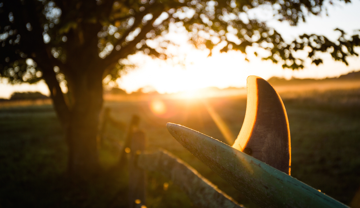 Singlefin sunrise, East Coast. Photo: <a href=\"https://danlemaitrephoto.com\">Dan LeMaitre</a>