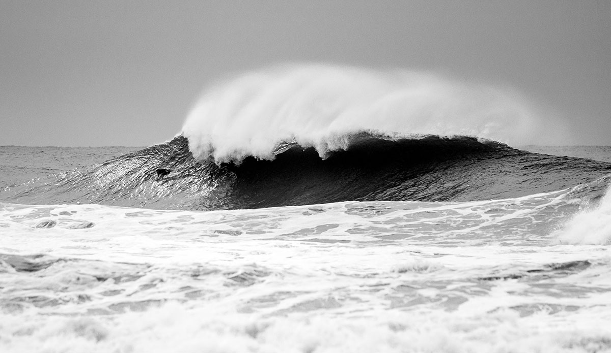 Photo: <a href=\"https://www.schultz-images.com/\">Kevin Schultz</a>