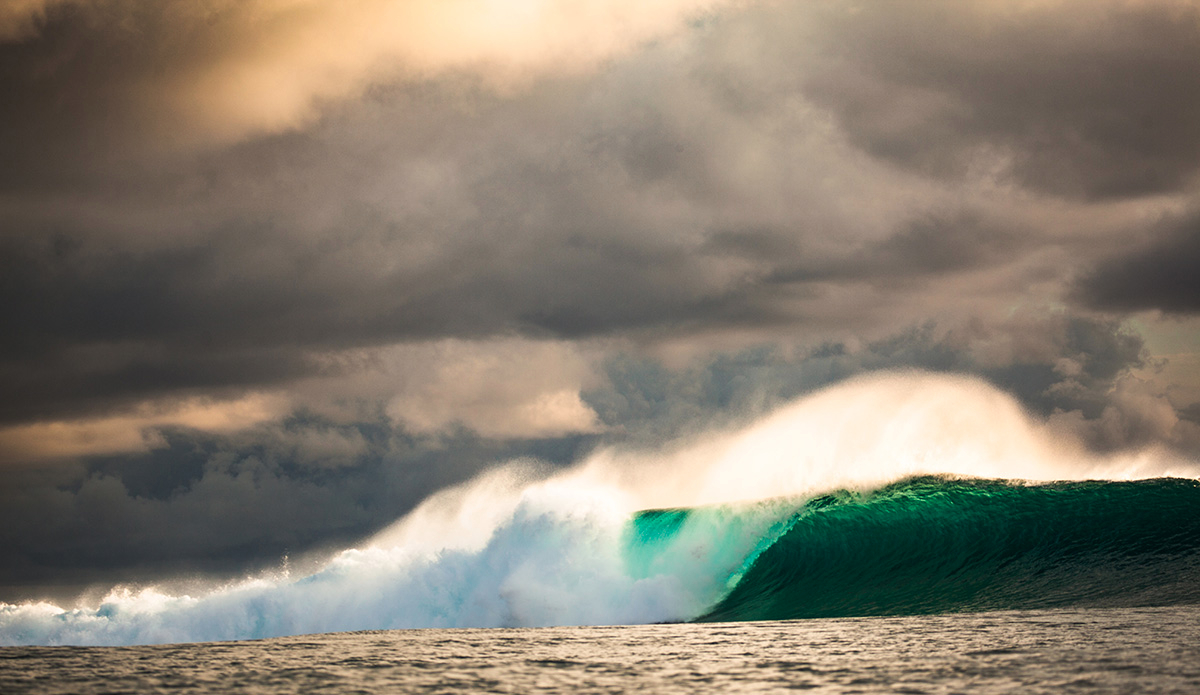 Photo: <a href=\"https://clairemurphyphotos.com/\">Claire Murphy</a>