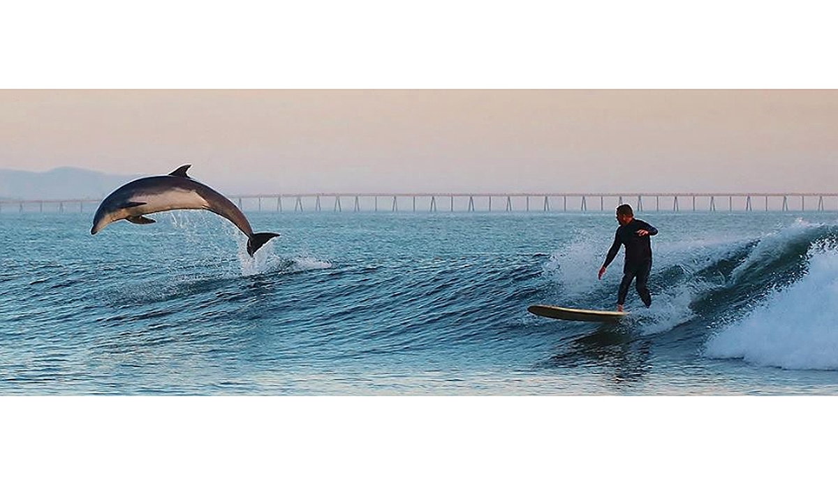 Photo: Duncan McKenzie