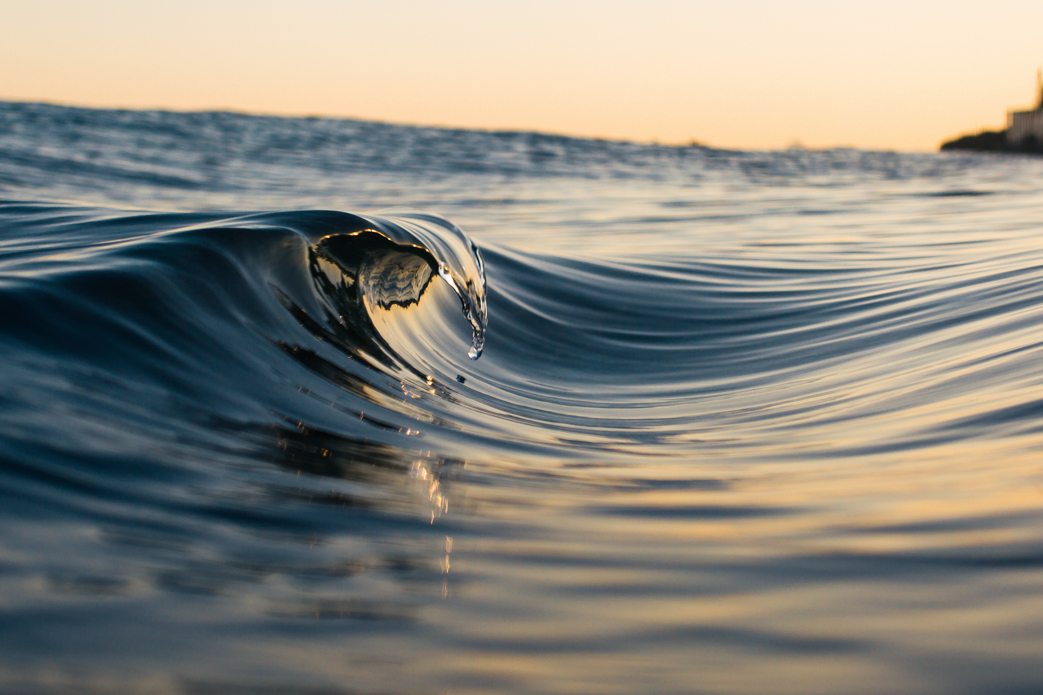 Photo: Cameron Watts