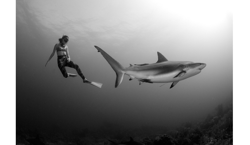 Colombian national freediving record holder Sofia Uribe Gomez charmed by a Caribbean reef shark. Photo: <a href=\"https://liabarrettphotography.com/\" target=_blank>Lia Barrett</a>