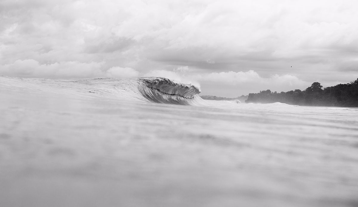 Photo: <a href=\"https://www.stokesalad.com/\">Thomas Forward</a>